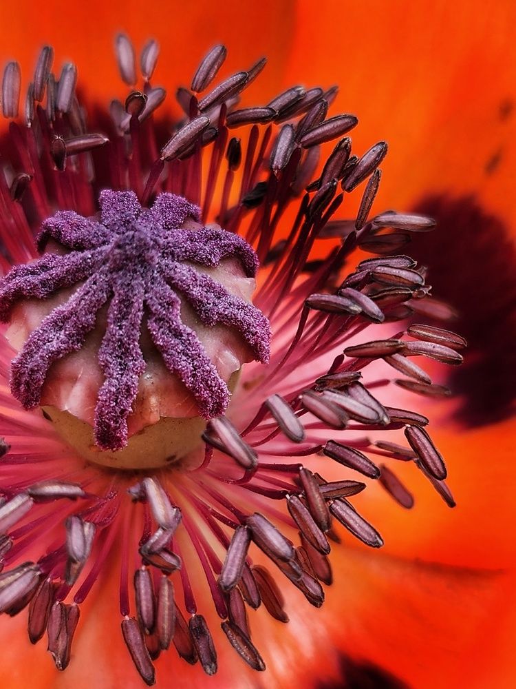 Photograph by Ольга Воронцова