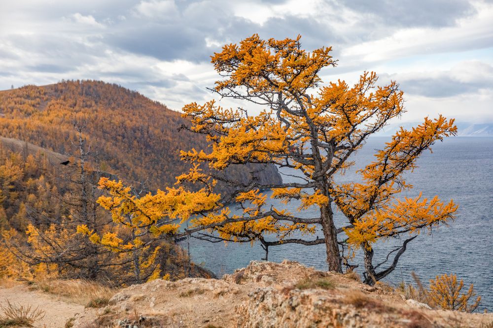 Photograph by Марина Захарова