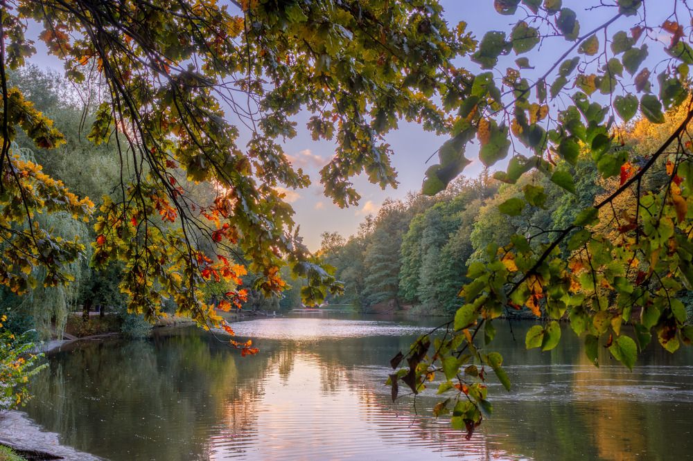 Фотография автора Сережин Сережа