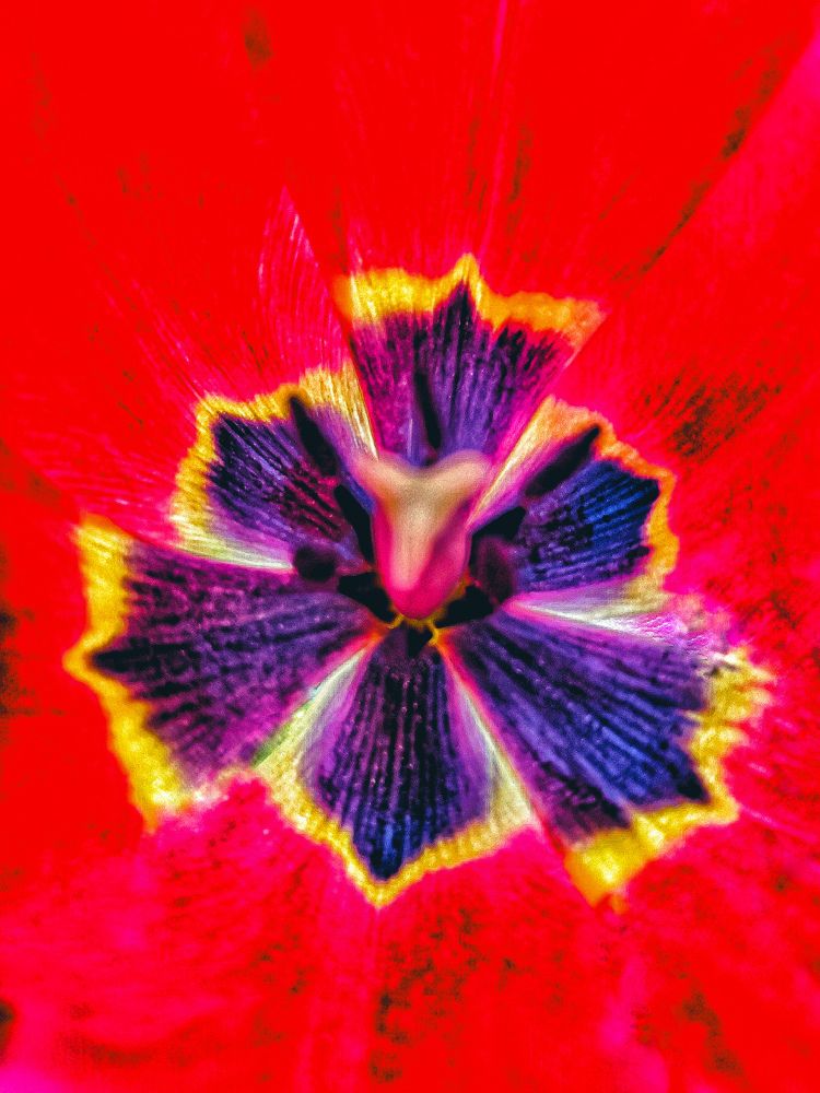 Photograph by Наталья Веряскина