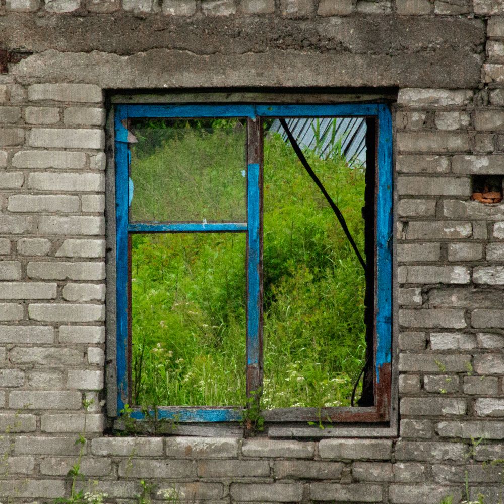 Photograph by Анна Масленникова-Бриль