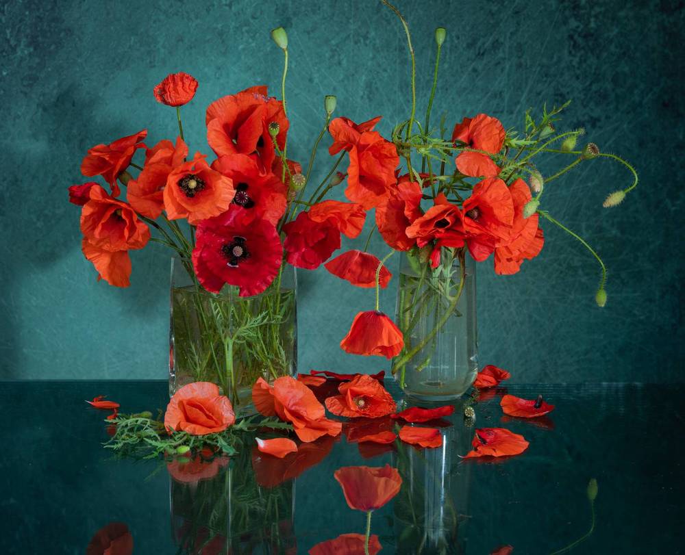 Photograph by NADEZHDA PELYMSKAIA