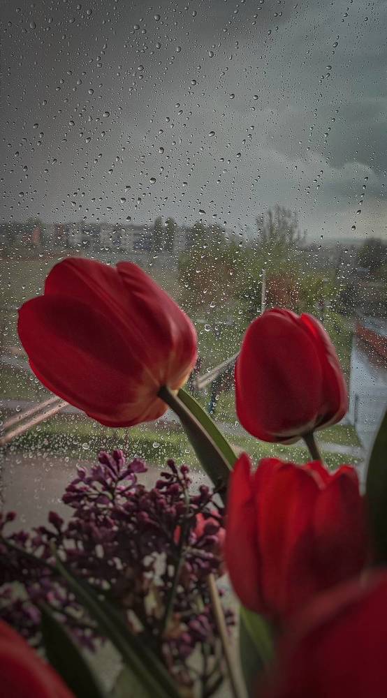 Фотография автора Анастасия Мамаева