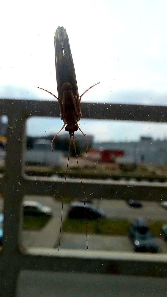 Photograph by Каковкина Ольга