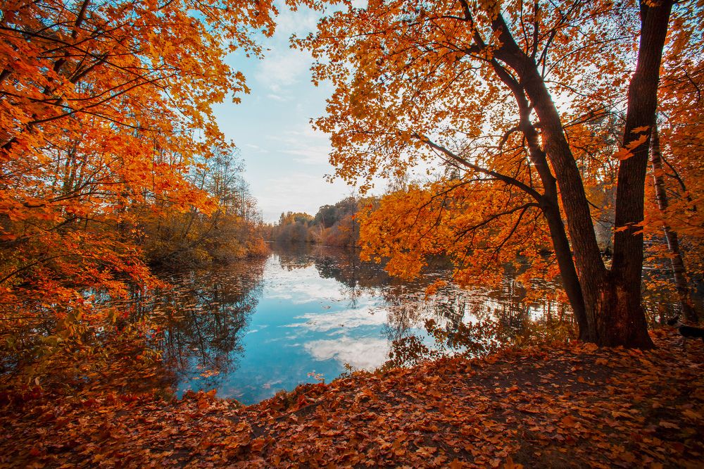 Photograph by Александр Ермаченко