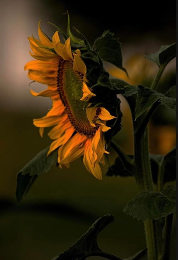 Photograph by Kateřina