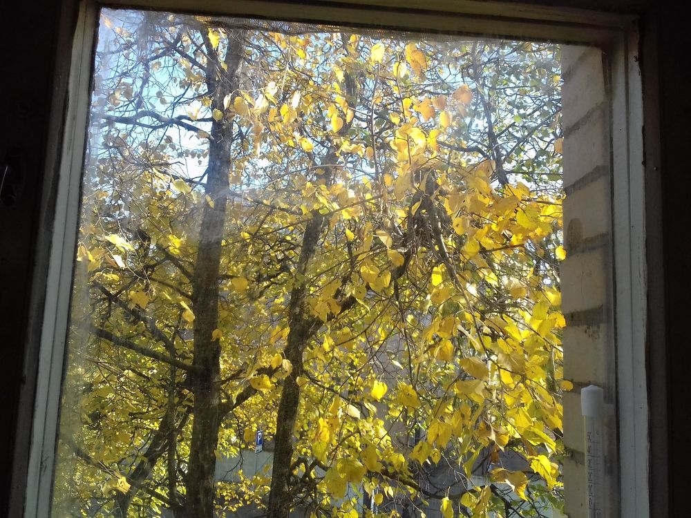 Photograph by Галина Петрушенко