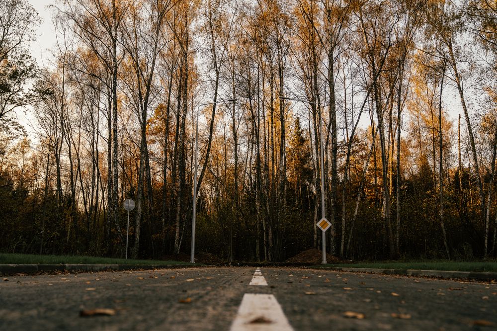 Photograph by Натали Захарова (Тай)