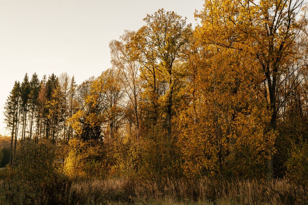 Photograph by Натали Захарова (Тай)