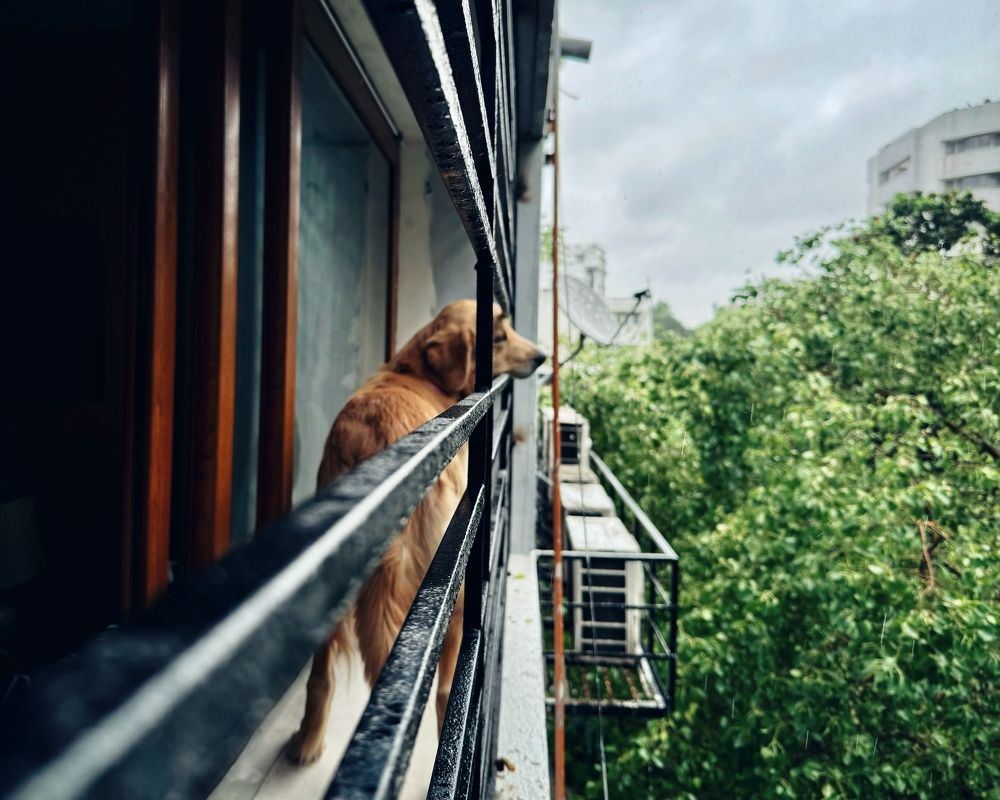 Photograph by Kedar Diwakar Mandakhalikar