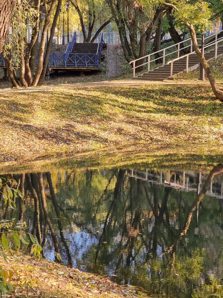 Фотография автора Светлана Алексеева
