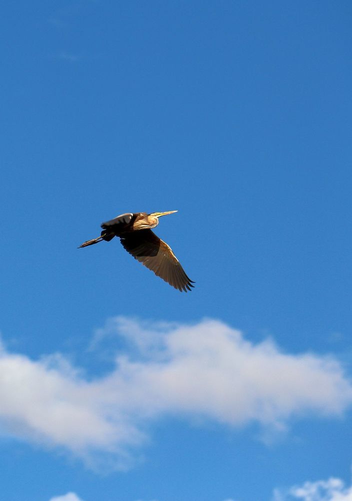 Photograph by Юрий Варюхин