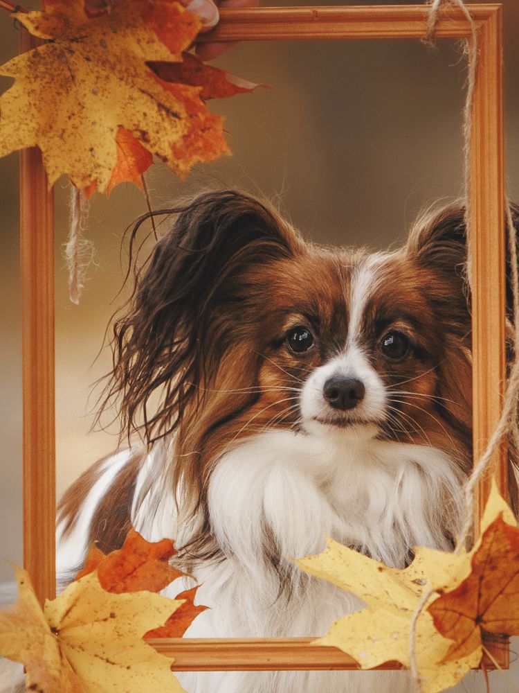 Photograph by Мария Клещенко