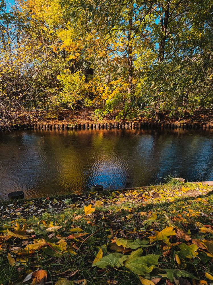 Фотография автора Наталья Агапова