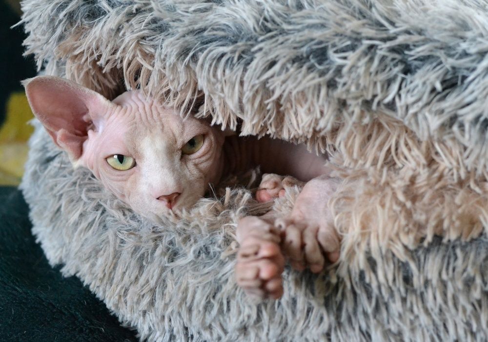 Photograph by Екатерина Медведева