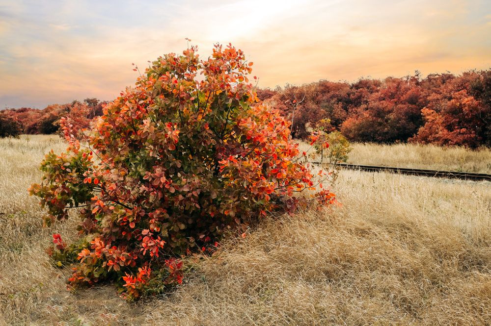 Photograph by Юлия Ковальчук