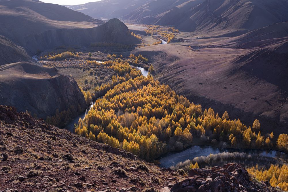 Фотография автора Галина