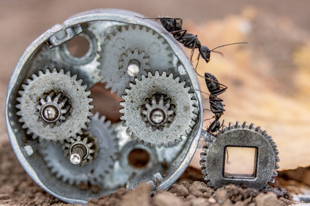 Photograph by Лапин Сергей