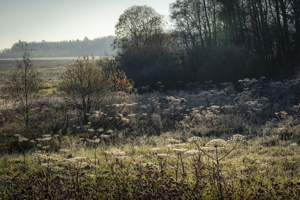 Photograph by Галина Аскольдовна Луковникова