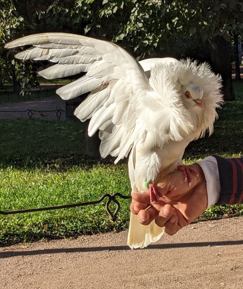 Photograph by Татьяна Вячеславовна