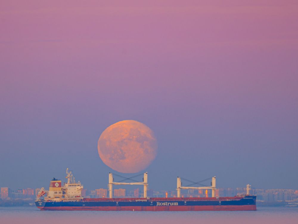 Фотография автора Таисия