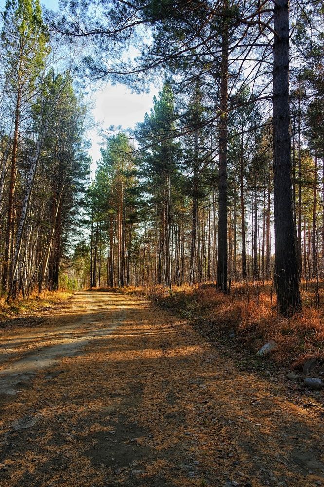 Photograph by Анна Киселёва