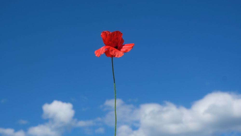 Photograph by Наталия Питолина