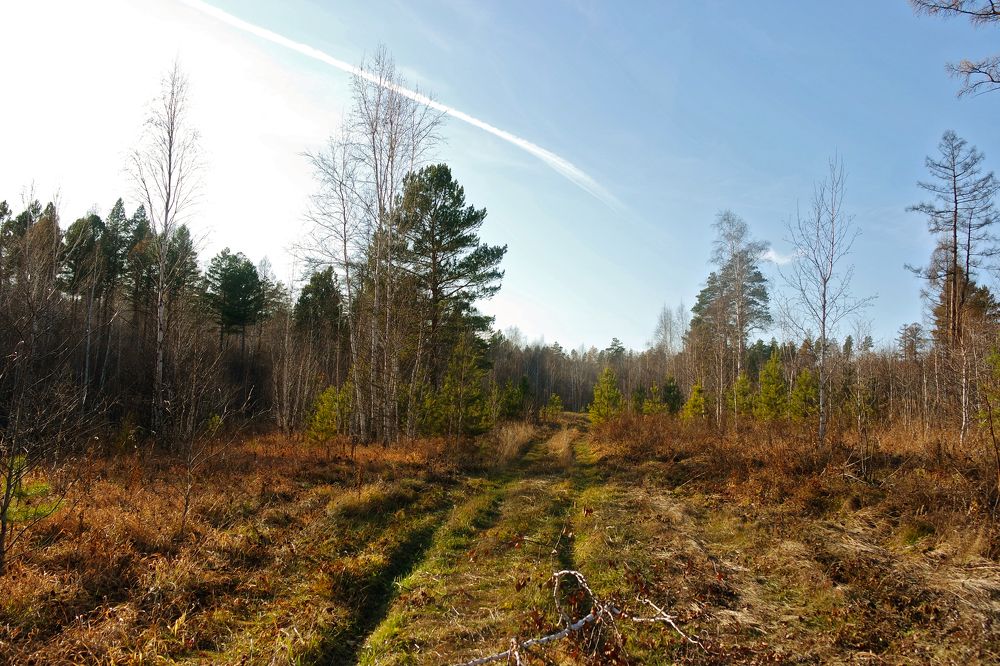 Photograph by Анна Киселёва