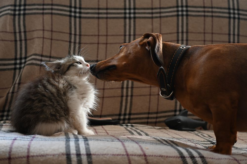 Фотография автора Irina Linina