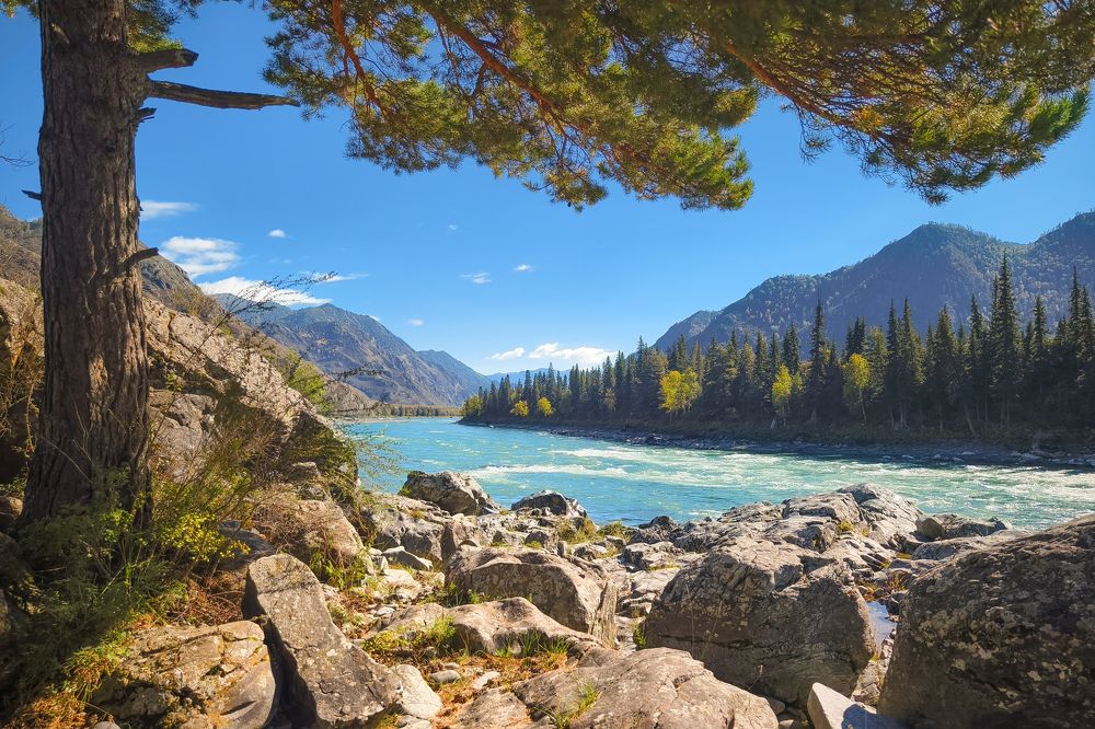 Photograph by Михаил Азаров