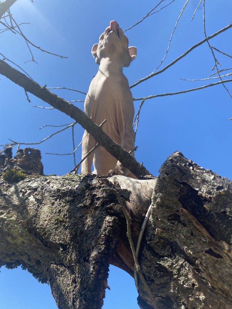 Photograph by Светлана Родионова