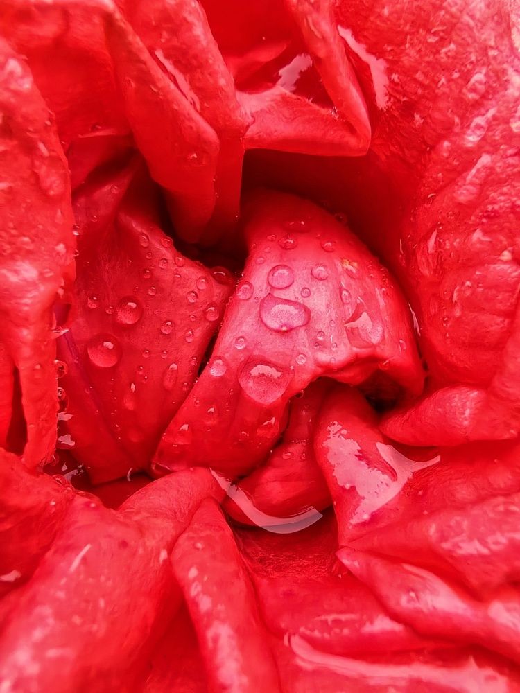 Photograph by Анна Киселёва