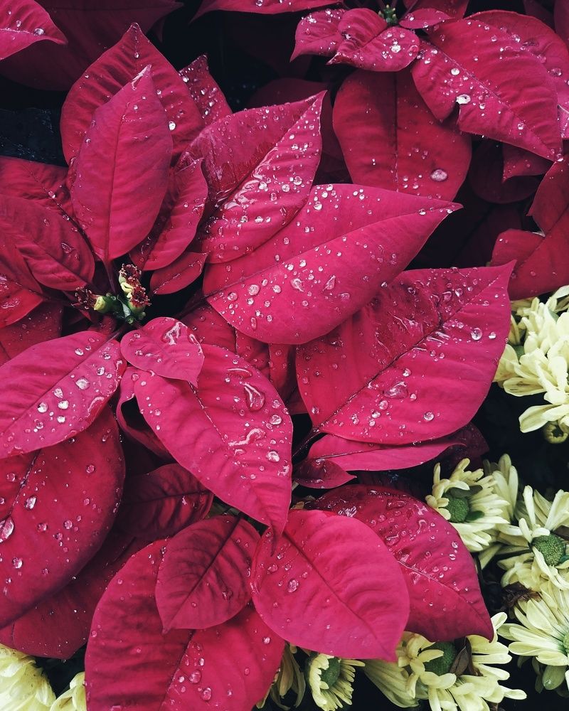 Photograph by Анна Киселёва