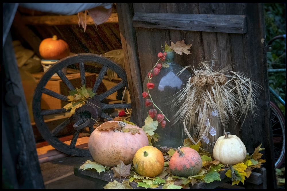 Photograph by Владимир Лосман