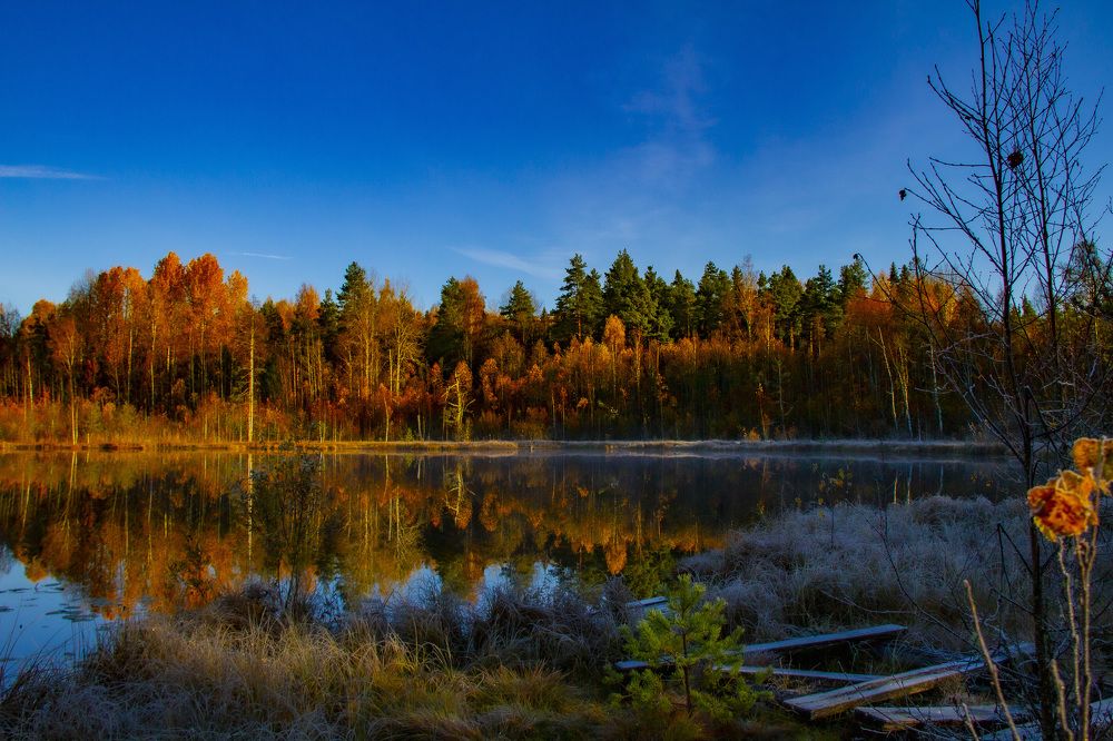 Photograph by Дмитрий Селицкий