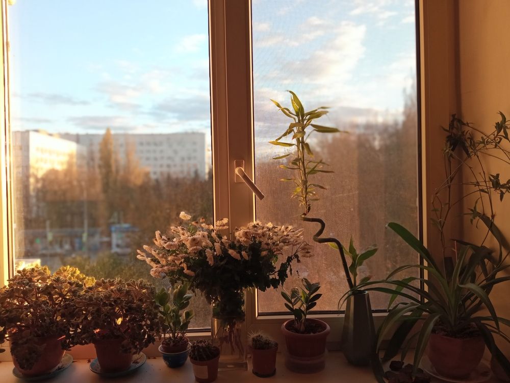 Photograph by Мария Раззувайло