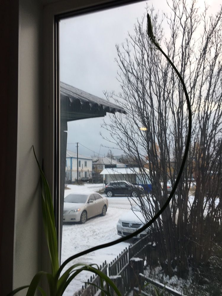 Photograph by Ирина Трембач