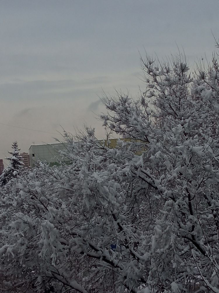 Photograph by Мария Раззувайло