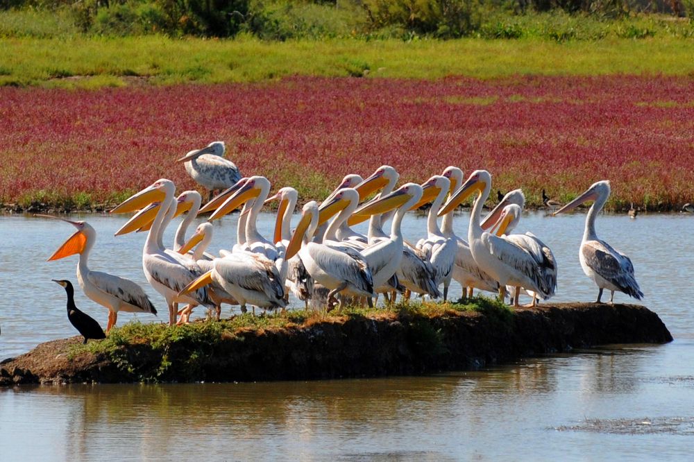 Photograph by MIHALIS KONSTANDINIDIS