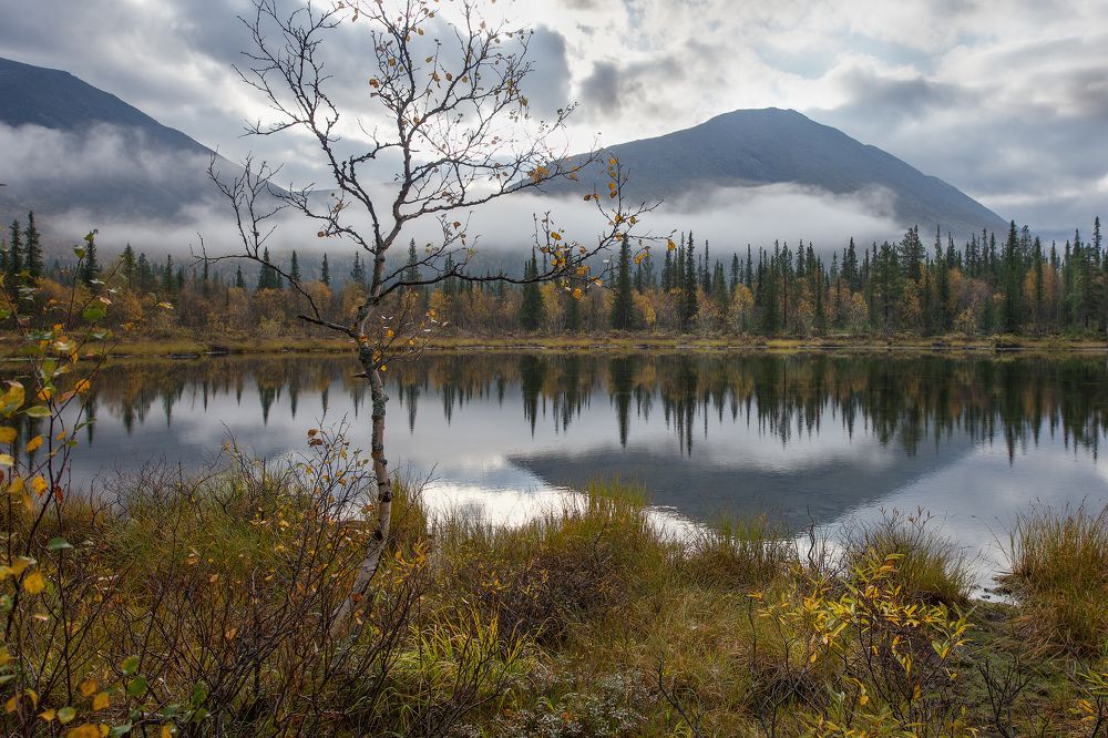 Photograph by Ольга Белоусова