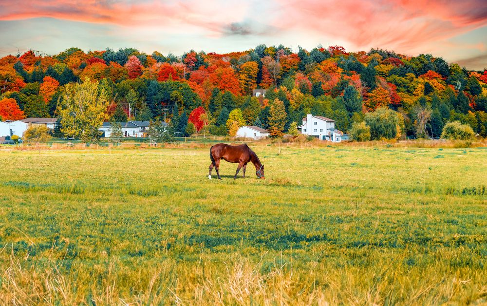 Photograph by Vaibhav Rege