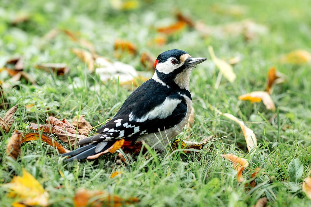 Photograph by Чистякова Валерия