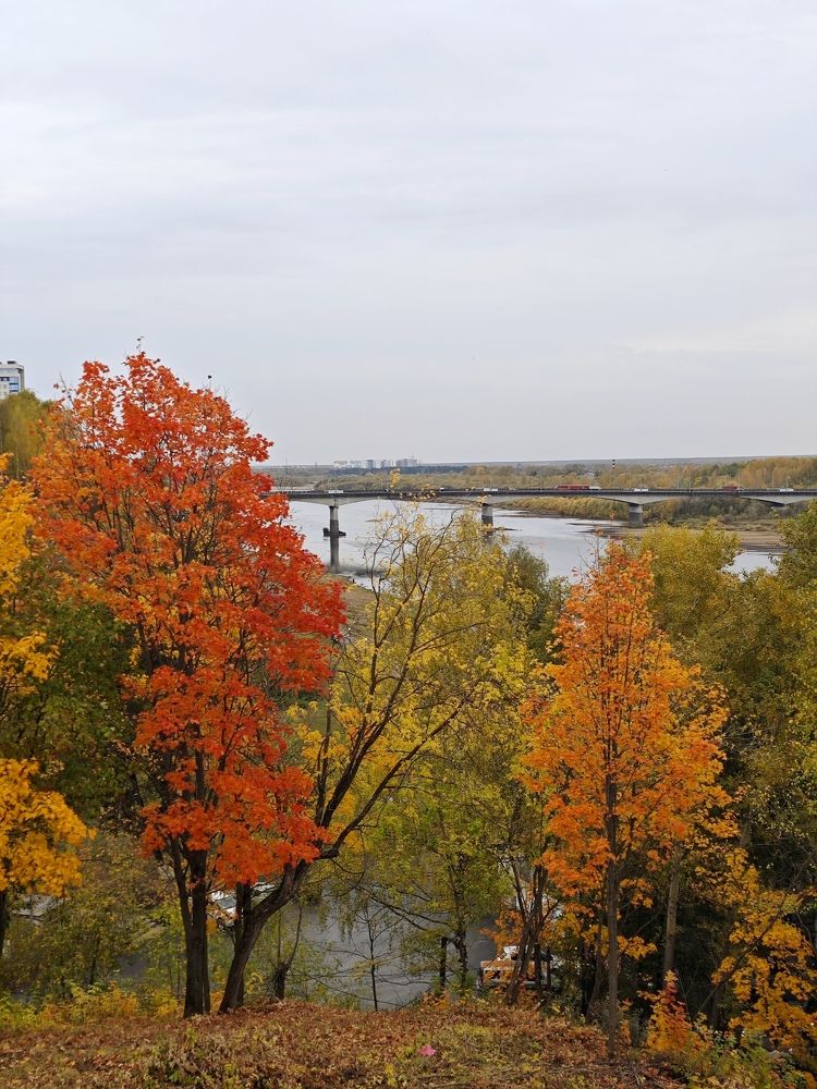 Photograph by Надежда Кангина