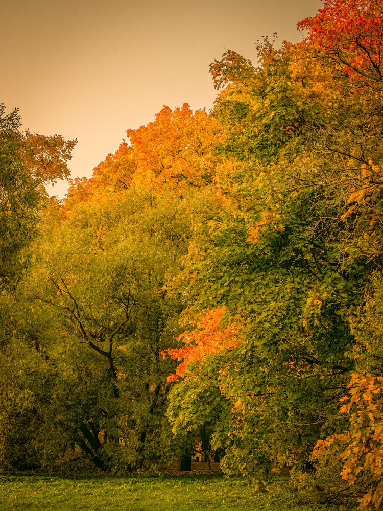 Photograph by Дмитрий Хорошилов