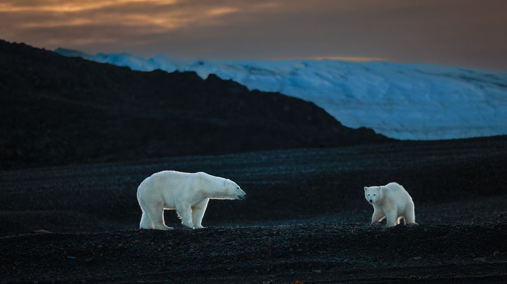 Photograph by Ruzdi Ekenheim