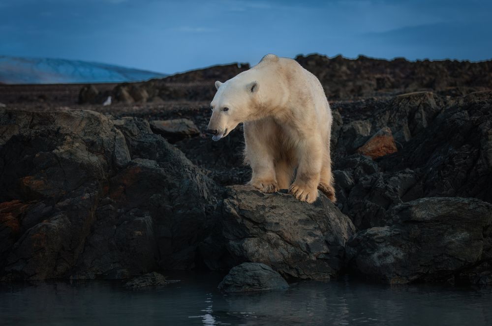 Photograph by Ruzdi Ekenheim