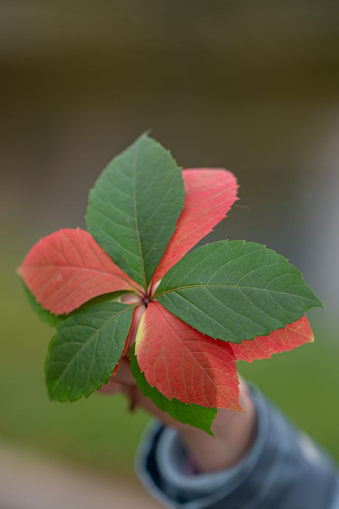 Photograph by Анастасия