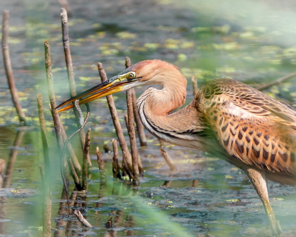 Photograph by Ожиганова Людмила