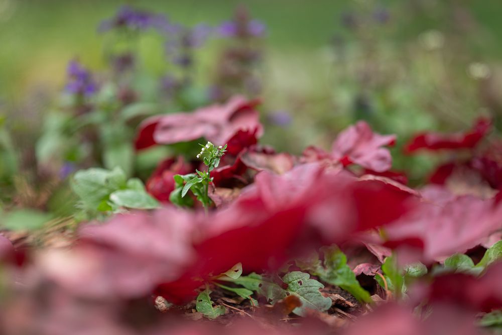 Photograph by Анастасия