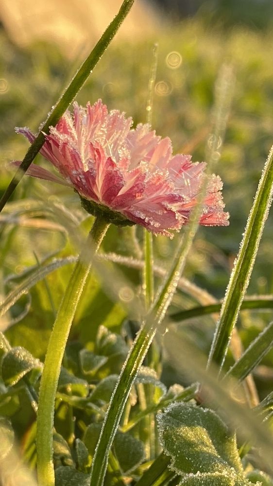 Photograph by Анна Кулакова